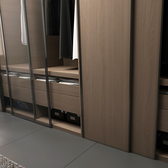 丽维家 衣柜 定制衣柜 整体衣柜 简约轻奢衣帽间 卧室大衣橱 进口